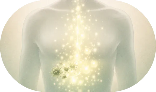 Frescura de Cuerpo Completo, Desde Dentro